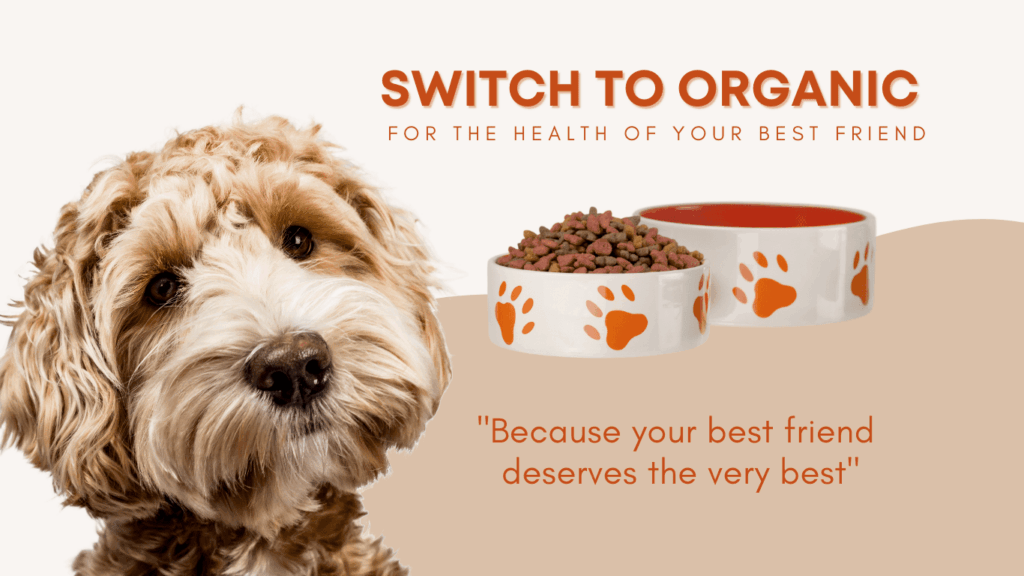 Brown-Tan-White-Organic-Pet-Food-Amazon-Product-Description-2-1-1-1-1-1-1-1.png