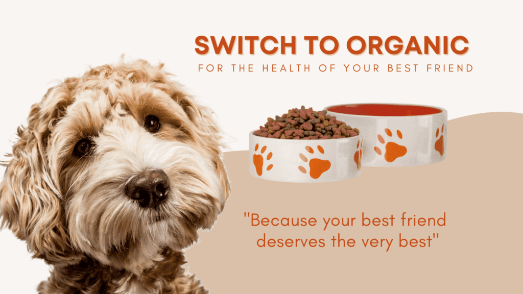 Brown-Tan-White-Organic-Pet-Food-Amazon-Product-Description-2-1-1-1-1-1-1.png