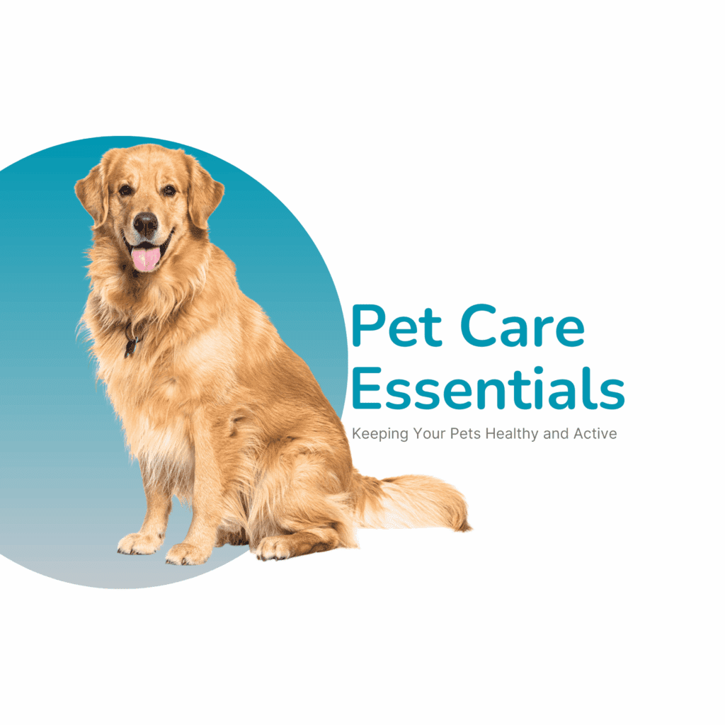 Essentials-1-1.png